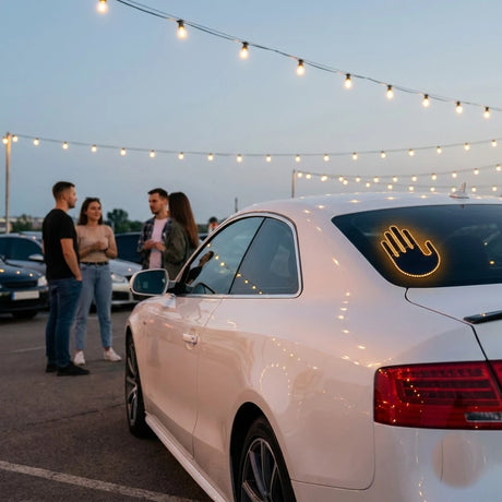 Car-meet regulars who like a talking point