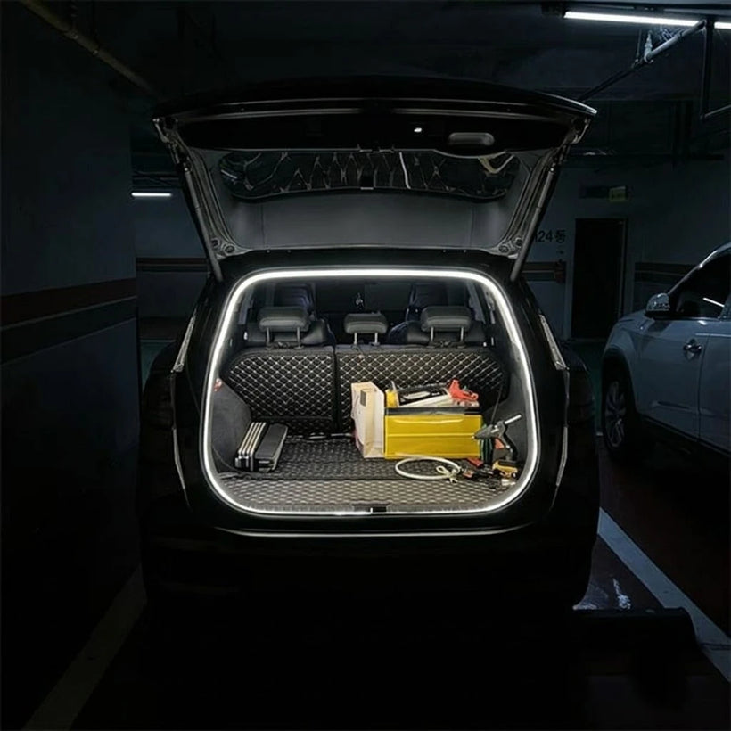 The same trunk lined with a bright BOLTHUT LED strip