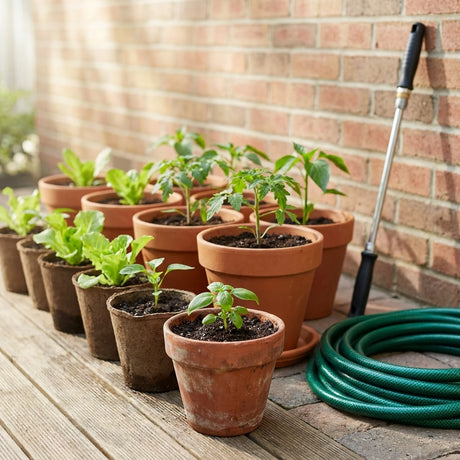 Gardeners who water and wash